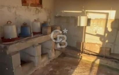 HENDEK DEREKÖY YOLA 155 M CEPHE İÇİNDE EV OLAN 0.40 KONUT İMARLI