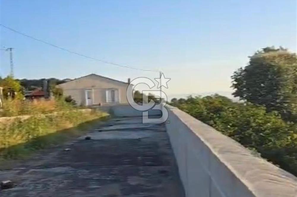 HENDEK DEREKÖY YOLA 155 M CEPHE İÇİNDE EV OLAN 0.40 KONUT İMARLI