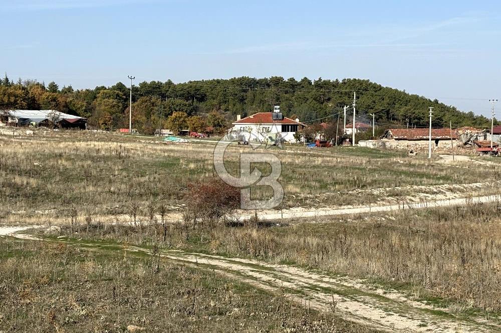 CB CITY'DEN YUKARI KALABAK KÖY'ÜNDE SATILIK TARLA