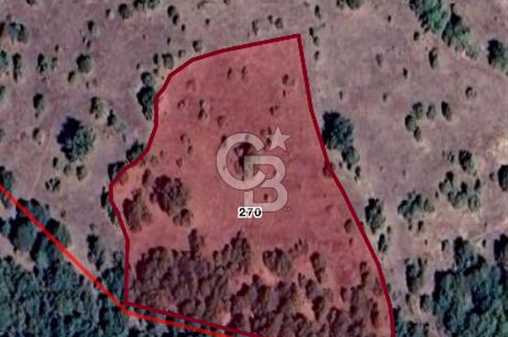 CB CITY'DEN YUKARI KALABAK KÖY'ÜNDE SATILIK TARLA