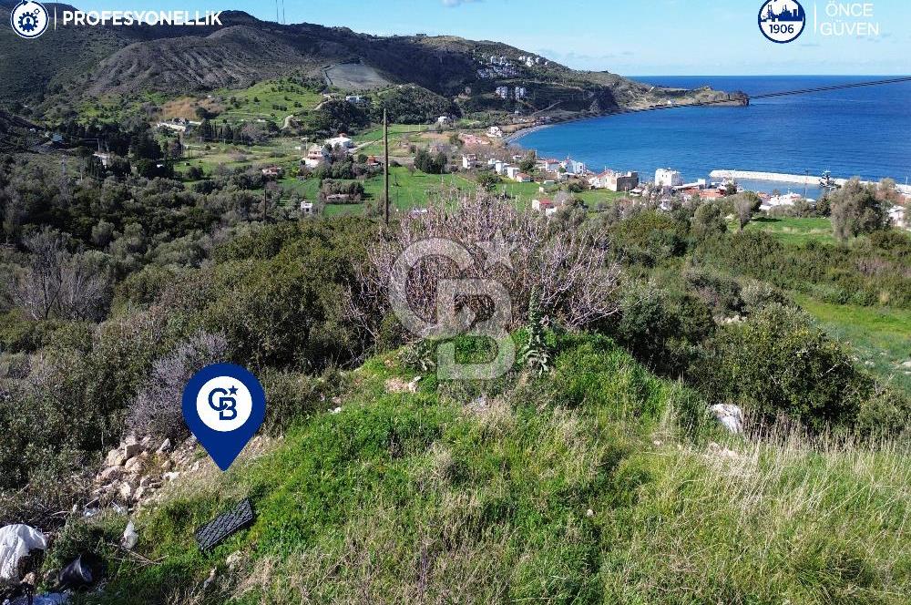 Karaburun Tepeboz Mahallesi'nde Deniz Manzaralı 4117 m² Tarla