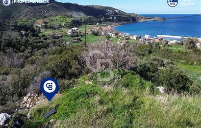 Karaburun Tepeboz Mahallesi'nde Deniz Manzaralı 4117 m² Tarla