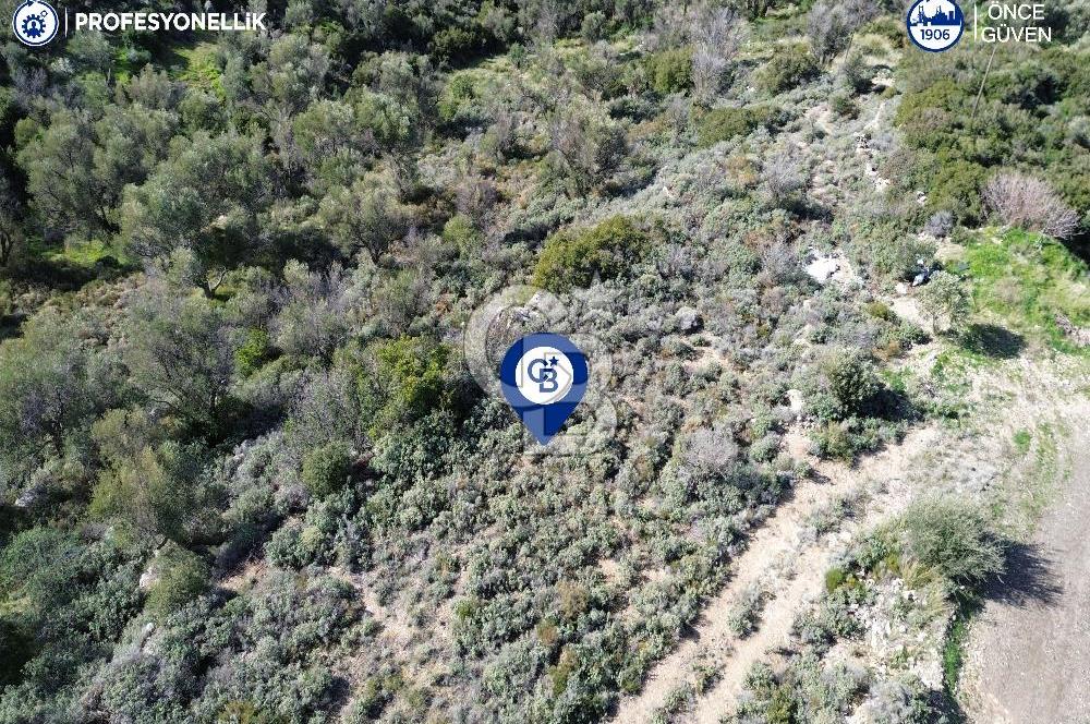 Karaburun Tepeboz Mahallesi'nde Deniz Manzaralı 4117 m² Tarla