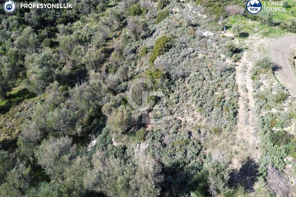 Karaburun Tepeboz Mahallesi'nde Deniz Manzaralı 4117 m² Tarla