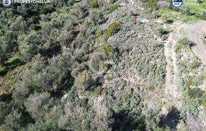 Karaburun Tepeboz Mahallesi'nde Deniz Manzaralı 4117 m² Tarla