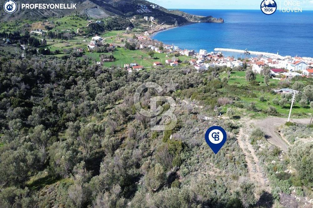 Karaburun Tepeboz Mahallesi'nde Deniz Manzaralı 4117 m² Tarla
