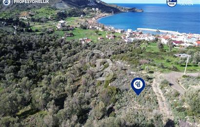 Karaburun Tepeboz Mahallesi'nde Deniz Manzaralı 4117 m² Tarla