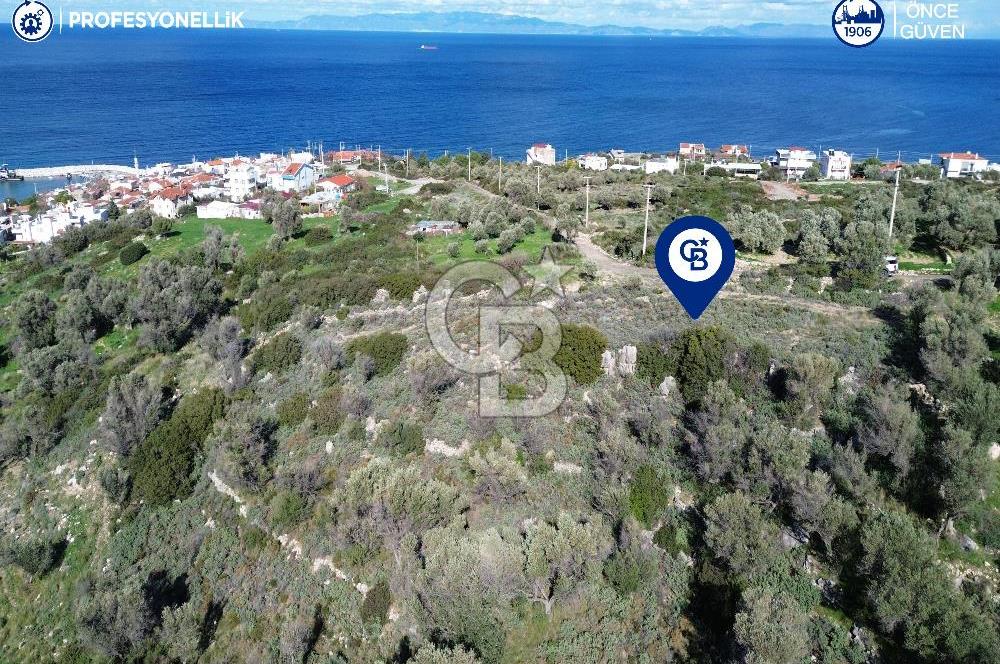 Karaburun Tepeboz Mahallesi'nde Deniz Manzaralı 4117 m² Tarla