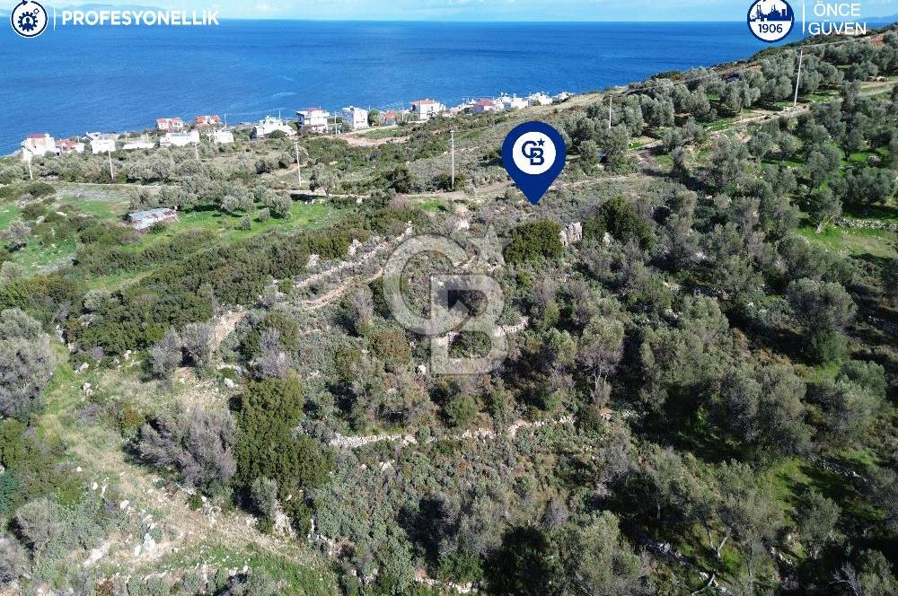 Karaburun Tepeboz Mahallesi'nde Deniz Manzaralı 4117 m² Tarla