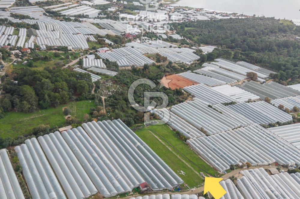 CB ARDENDEN ANTALYA DEMRE BEYMELEKTE SATILIK 6857 M2 TARLA