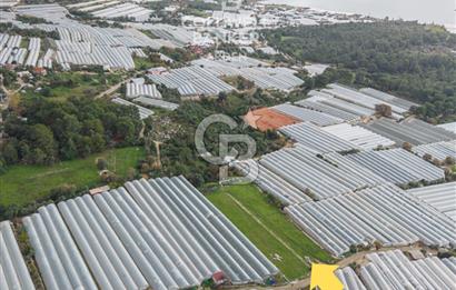 CB ARDENDEN ANTALYA DEMRE BEYMELEKTE SATILIK 6857 M2 TARLA