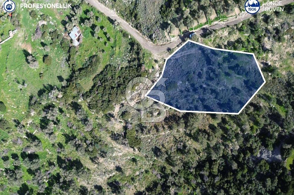 Karaburun Tepeboz Mahallesi'nde Deniz Manzaralı 4117 m² Tarla