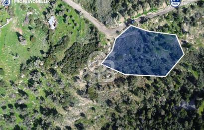 Karaburun Tepeboz Mahallesi'nde Deniz Manzaralı 4117 m² Tarla