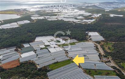 CB ARDENDEN ANTALYA DEMRE BEYMELEKTE SATILIK 6857 M2 TARLA