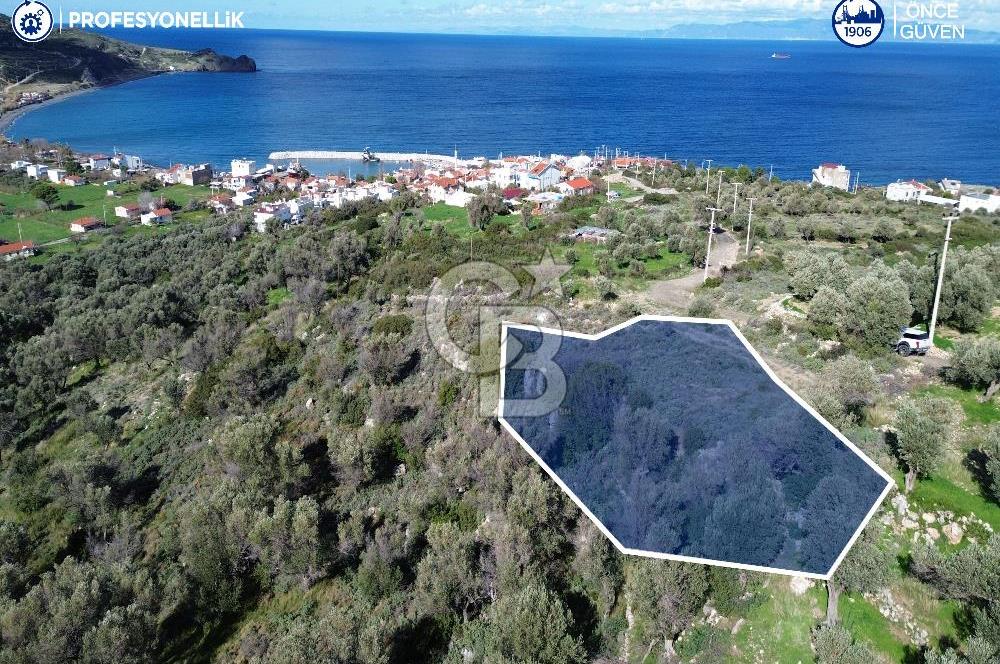 Karaburun Tepeboz Mahallesi'nde Deniz Manzaralı 4117 m² Tarla