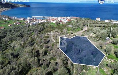 Karaburun Tepeboz Mahallesi'nde Deniz Manzaralı 4117 m² Tarla