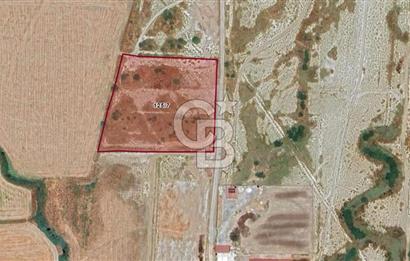 Milas Savran Yatırımlık Uygun Arazi