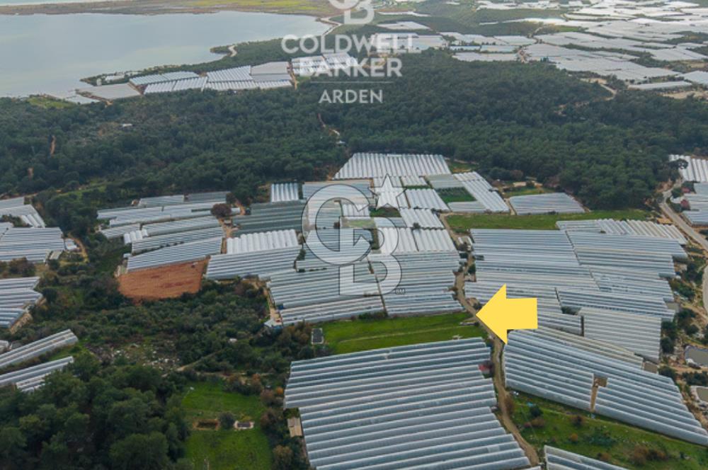 CB ARDENDEN ANTALYA DEMRE BEYMELEKTE SATILIK 6857 M2 TARLA