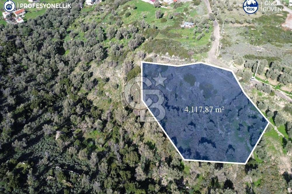 Karaburun Tepeboz Mahallesi'nde Deniz Manzaralı 4117 m² Tarla