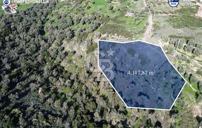 Karaburun Tepeboz Mahallesi'nde Deniz Manzaralı 4117 m² Tarla