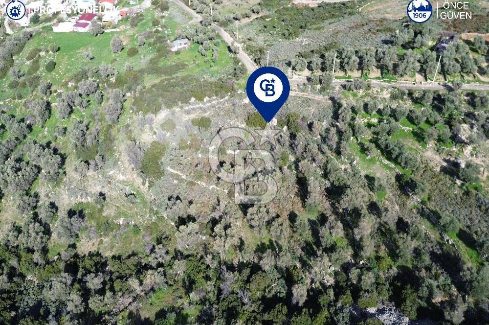 Karaburun Tepeboz Mahallesi'nde Deniz Manzaralı 4117 m² Tarla