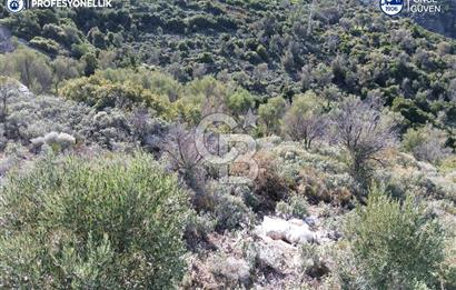 Karaburun Tepeboz Mahallesi'nde Deniz Manzaralı 4117 m² Tarla