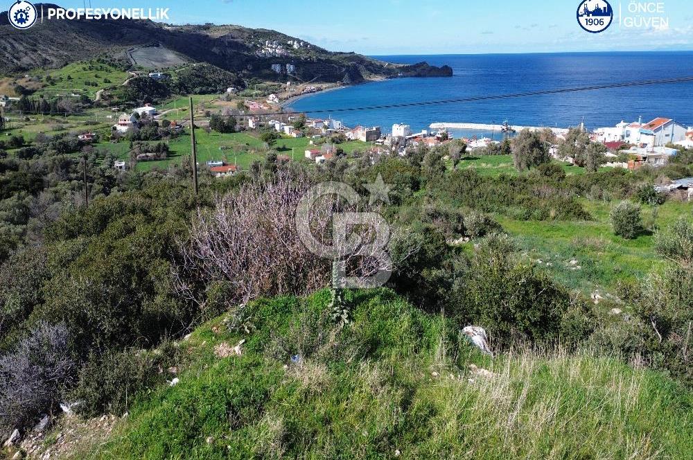 Karaburun Tepeboz Mahallesi'nde Deniz Manzaralı 4117 m² Tarla