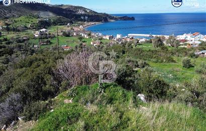 Karaburun Tepeboz Mahallesi'nde Deniz Manzaralı 4117 m² Tarla