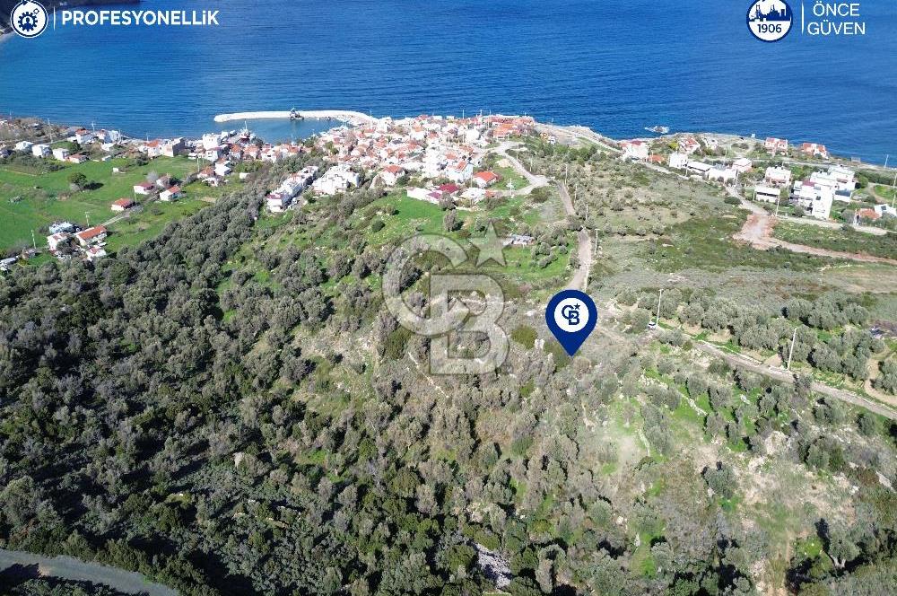 Karaburun Tepeboz Mahallesi'nde Deniz Manzaralı 4117 m² Tarla