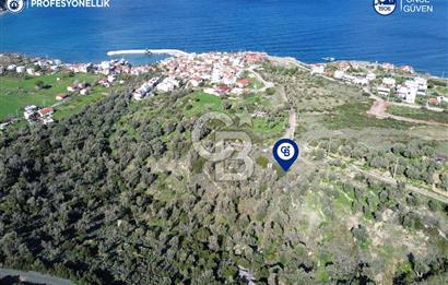 Karaburun Tepeboz Mahallesi'nde Deniz Manzaralı 4117 m² Tarla