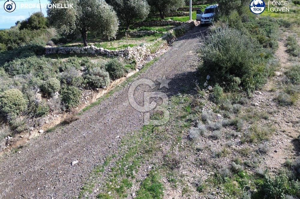 Karaburun Tepeboz Mahallesi'nde Deniz Manzaralı 4117 m² Tarla