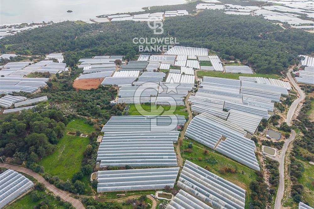 CB ARDENDEN ANTALYA DEMRE BEYMELEKTE SATILIK 6857 M2 TARLA