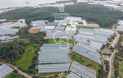 CB ARDENDEN ANTALYA DEMRE BEYMELEKTE SATILIK 6857 M2 TARLA