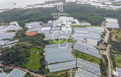 CB ARDENDEN ANTALYA DEMRE BEYMELEKTE SATILIK 6857 M2 TARLA