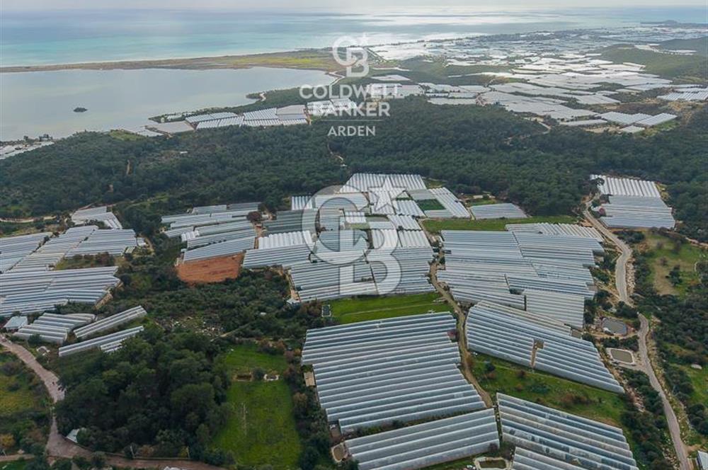 CB ARDENDEN ANTALYA DEMRE BEYMELEKTE SATILIK 6857 M2 TARLA