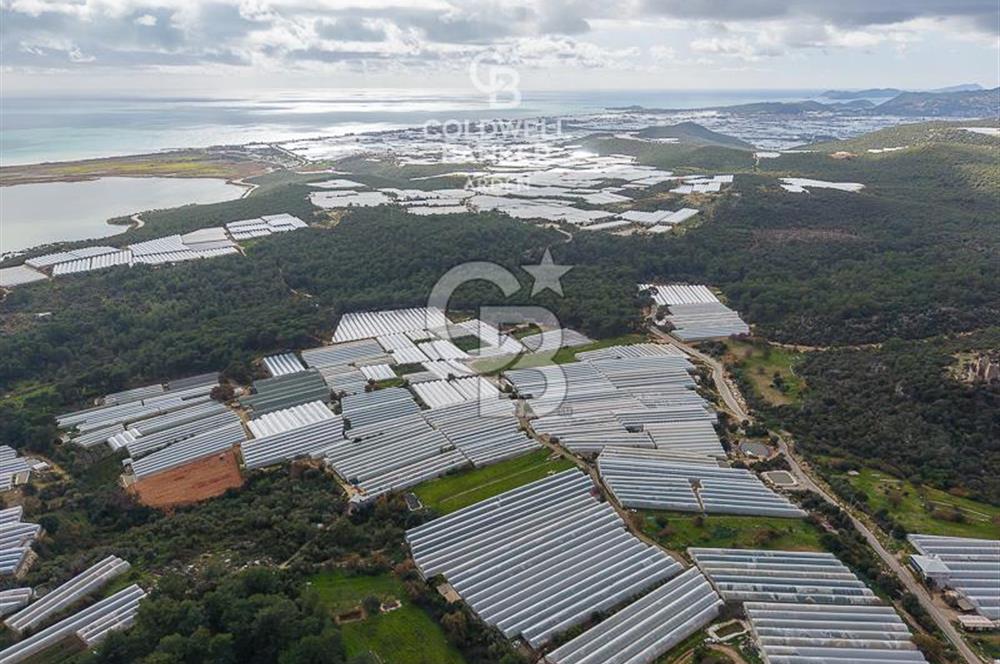 CB ARDENDEN ANTALYA DEMRE BEYMELEKTE SATILIK 6857 M2 TARLA