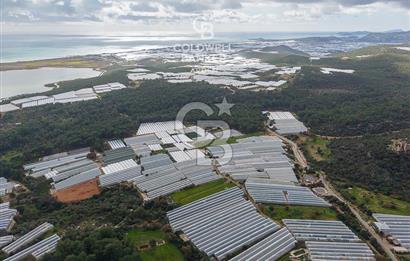 CB ARDENDEN ANTALYA DEMRE BEYMELEKTE SATILIK 6857 M2 TARLA