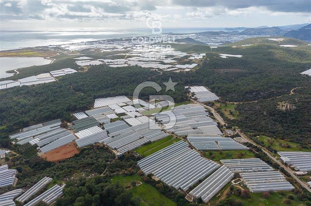 CB ARDENDEN ANTALYA DEMRE BEYMELEKTE SATILIK 6857 M2 TARLA