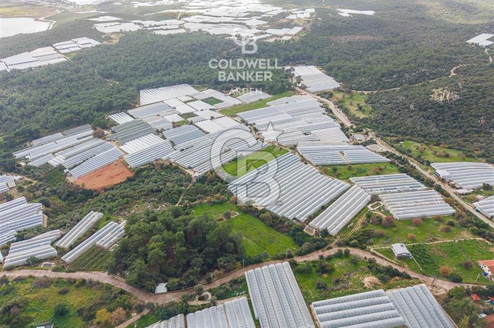 CB ARDENDEN ANTALYA DEMRE BEYMELEKTE SATILIK 6857 M2 TARLA