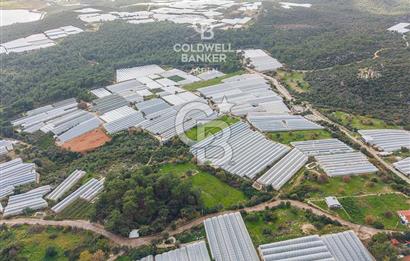 CB ARDENDEN ANTALYA DEMRE BEYMELEKTE SATILIK 6857 M2 TARLA