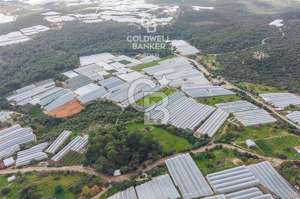 CB ARDENDEN ANTALYA DEMRE BEYMELEKTE SATILIK 6857 M2 TARLA