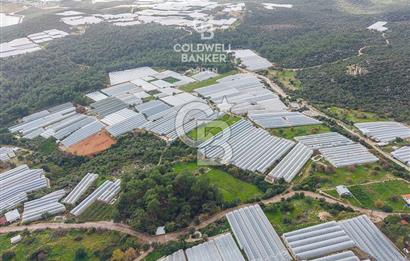 CB ARDENDEN ANTALYA DEMRE BEYMELEKTE SATILIK 6857 M2 TARLA