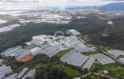 CB ARDENDEN ANTALYA DEMRE BEYMELEKTE SATILIK 6857 M2 TARLA