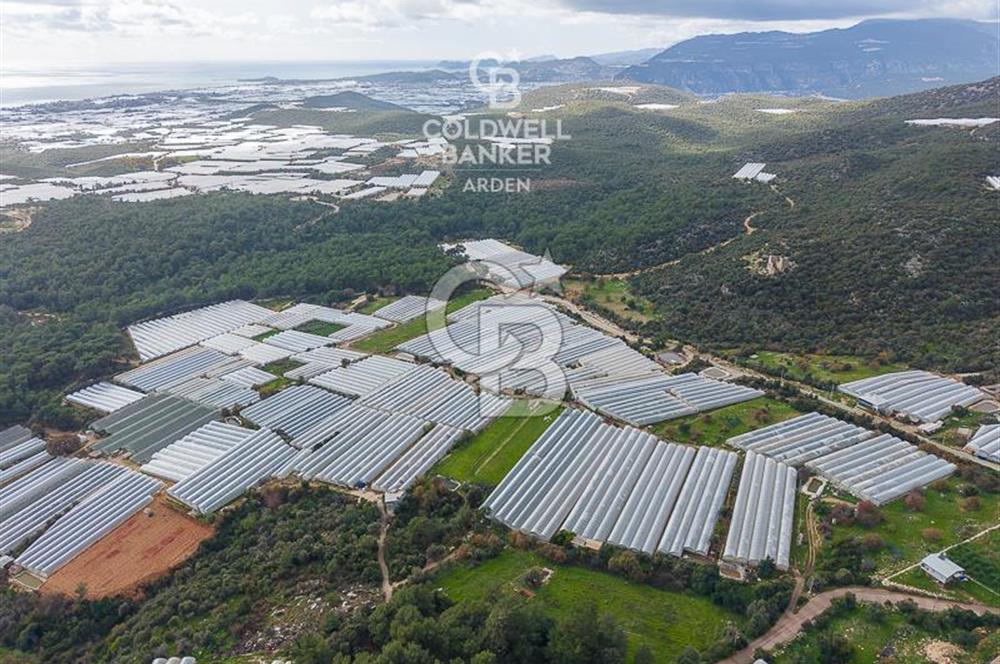 CB ARDENDEN ANTALYA DEMRE BEYMELEKTE SATILIK 6857 M2 TARLA