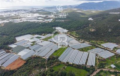 CB ARDENDEN ANTALYA DEMRE BEYMELEKTE SATILIK 6857 M2 TARLA
