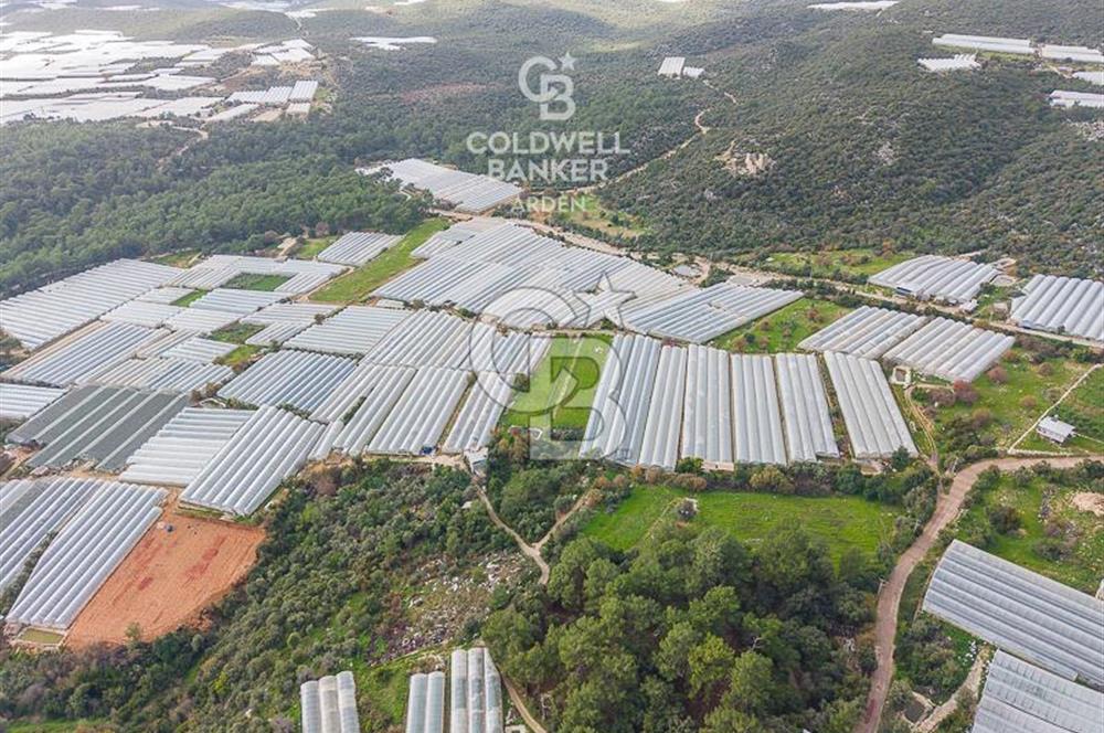 CB ARDENDEN ANTALYA DEMRE BEYMELEKTE SATILIK 6857 M2 TARLA