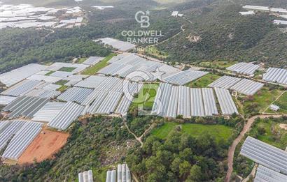 CB ARDENDEN ANTALYA DEMRE BEYMELEKTE SATILIK 6857 M2 TARLA