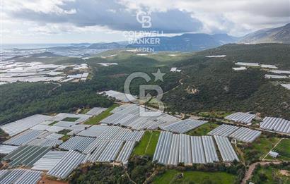 CB ARDENDEN ANTALYA DEMRE BEYMELEKTE SATILIK 6857 M2 TARLA