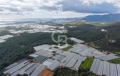 CB ARDENDEN ANTALYA DEMRE BEYMELEKTE SATILIK 6857 M2 TARLA