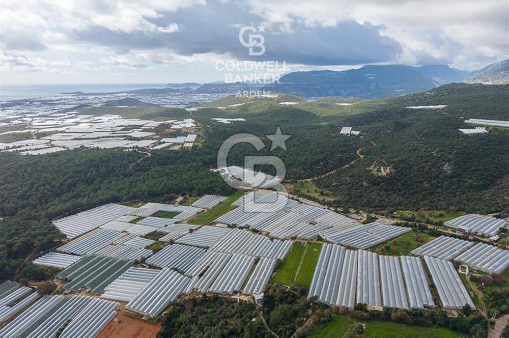 CB ARDENDEN ANTALYA DEMRE BEYMELEKTE SATILIK 6857 M2 TARLA